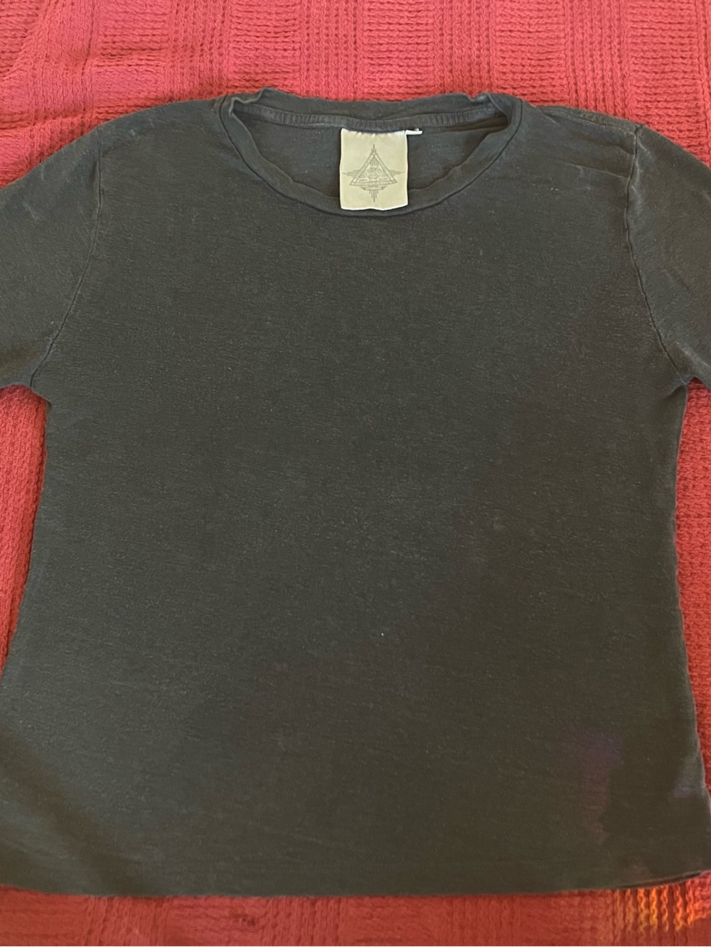 Hemp Jungmaven Cropped T Shirt
